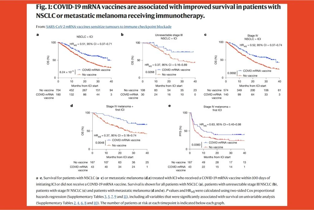 Vaccinurile ARNm SARS-CoV-2 sensibilizează tumorile